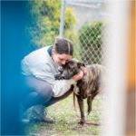 student hugs a dog who is outside in a pen at an animal shelter